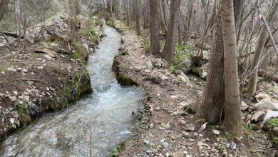 تصویر از گردشگری بردسیری تا گردشگری گرمسیری در چهار فصل جلفای ایران