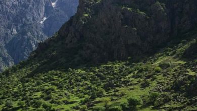 تصویر  درکه خوش آب و هواترین محله تهران