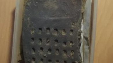 تصویر کشف لوح حسابداری دوران آغاز ایلامی در شهر سوخته
