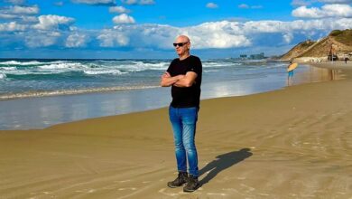 تصویر برگزیدگان پنجاهمین دوره جشنواره بین‌المللی فیلم «تورنتو»