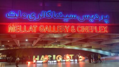 تصویر از بازدید مدیران فرهنگی و سینمایی تا روایت زنانه مستندهای «میریام» و «خاک زخمی» در جشنواره بینالمللی سینما حقیقت