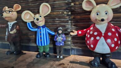 تصویر اکران یگانه فیلم کودکانه جشنواره فیلم فجر به میزبانی سینما فرهنگ